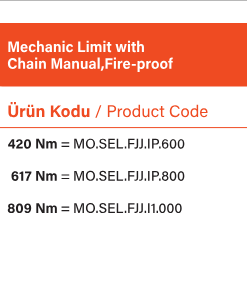 SEL END FJJ Endüstryel motor motor çeşitleri