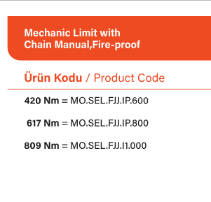 SEL END FJJ Endüstryel motor motor çeşitleri