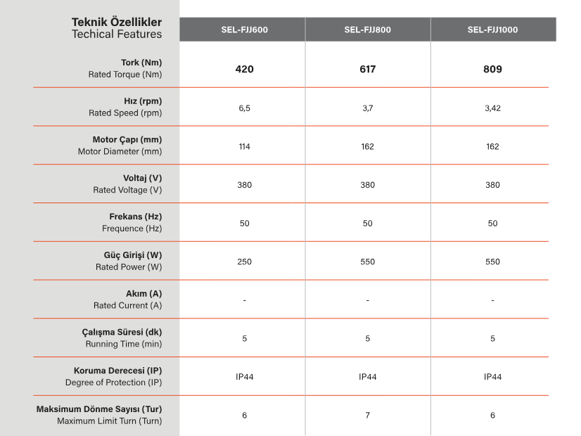 SEL END FJJ Endüstryel motor teknik özellikler