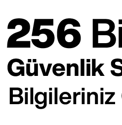 TAU ESV Elektronik Kilit